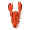 Whole Cornish Lobster